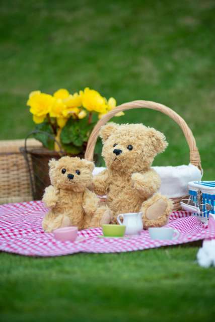 MM016 CLASSIC JOINTED TEDDY BEAR