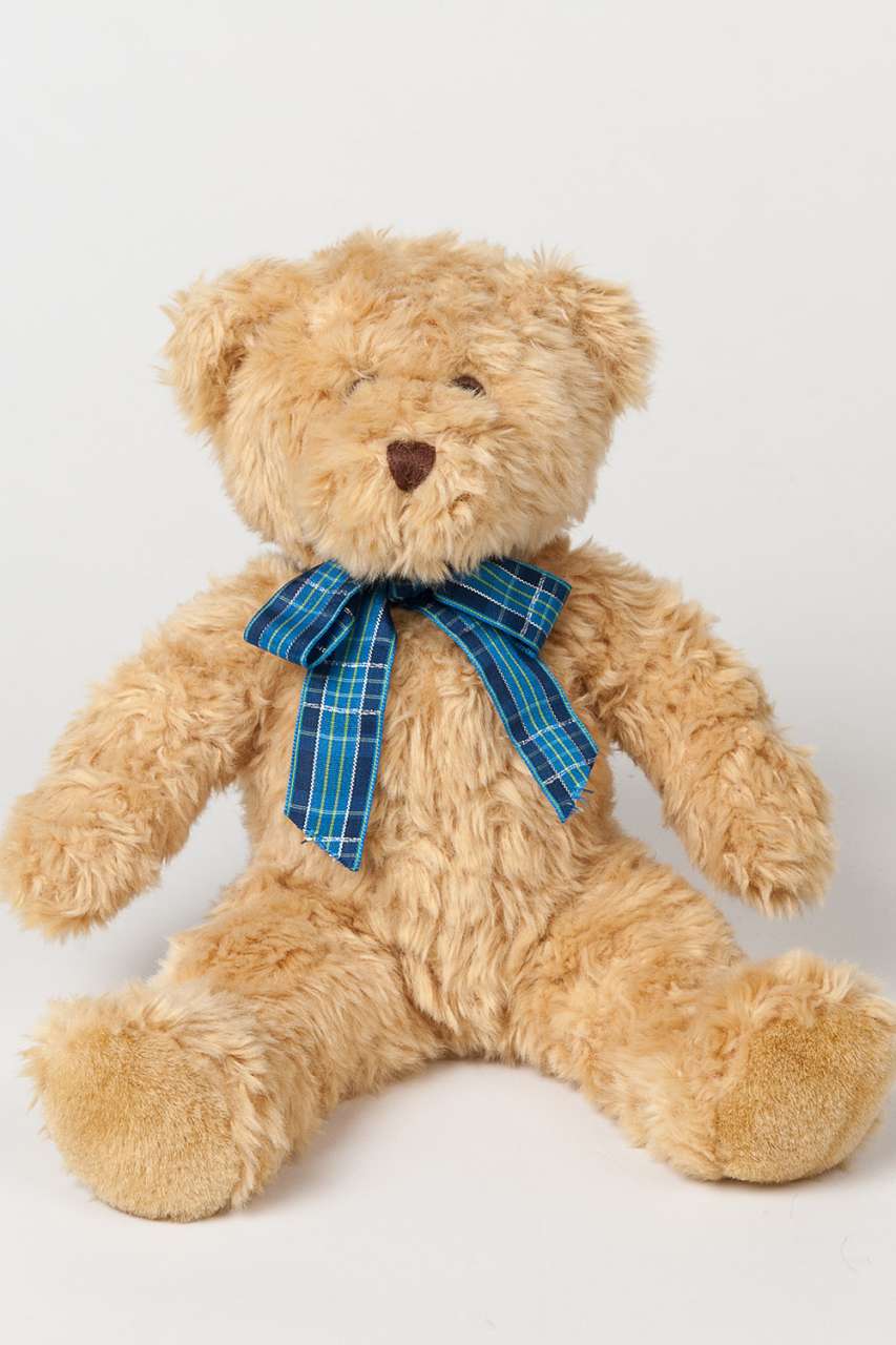 mm001 MUMBLES BRACKEN BEAR